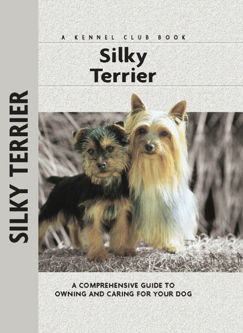 Silky Terrier - Alice J. Kane