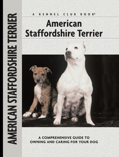 American Staffordshire Terrier - Joseph Janish