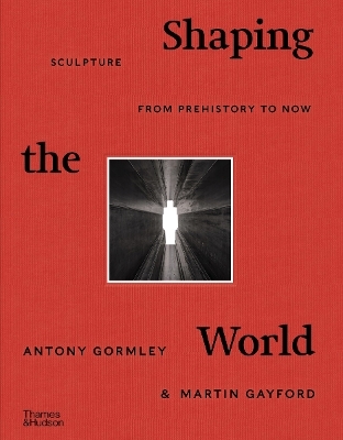Shaping the World - Antony Gormley, Martin Gayford