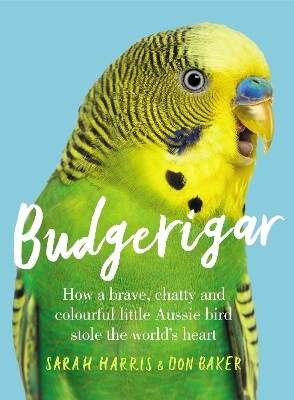 Budgerigar - Sarah Harris