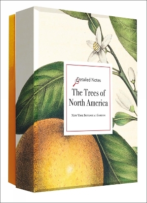 The Trees of North America - Detailed Notecard Set - 