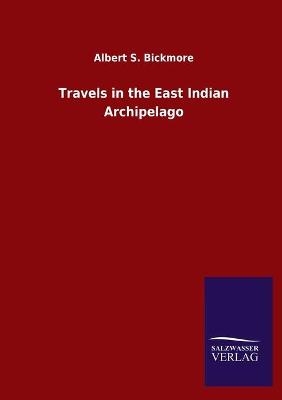 Travels in the East Indian Archipelago - Albert S. Bickmore