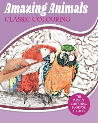 Amazing Animals Classic Colouring