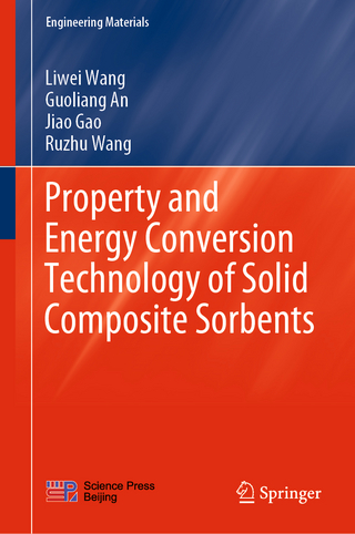 Property and Energy Conversion Technology of Solid Composite Sorbents
