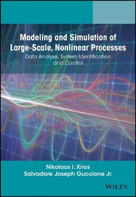 Modeling and Simulation of Large–Scale, Nonlinear Processes