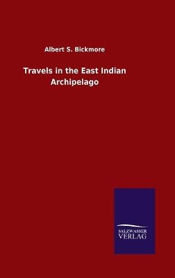 Travels in the East Indian Archipelago - Albert S. Bickmore