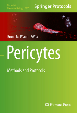 Pericytes