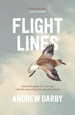Flight Lines - Andrew Darby