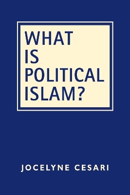 What Is Political Islam? - Jocelyne Cesari