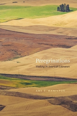 Peregrinations - Amy T. Hamilton