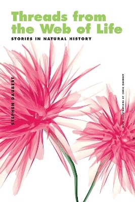 Threads from the Web of Life & The Shark and the Jellyfish - Stephen Daubert