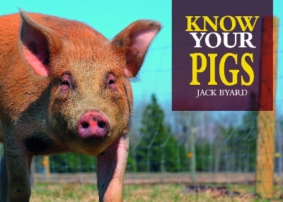 Know Your Pigs - Jack Byard