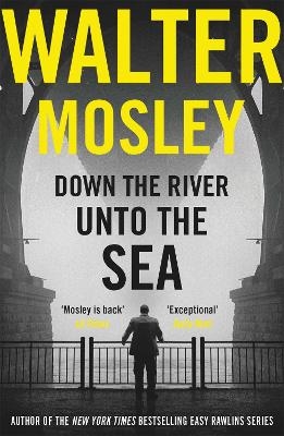 Down the River Unto the Sea - Walter Mosley