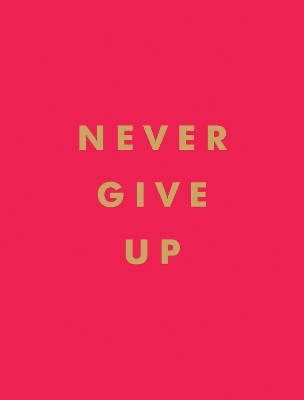 Never Give Up - Summersdale Publishers
