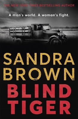 Blind Tiger - Sandra Brown