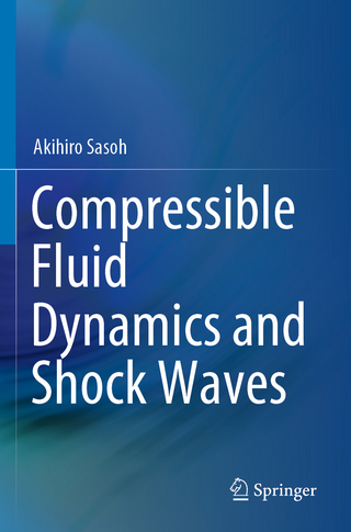 Compressible Fluid Dynamics and Shock Waves
