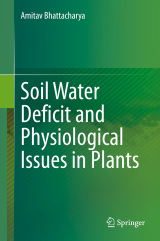 Soil Water Deficit and Physiological Issues in Plants