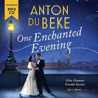 One Enchanted Evening