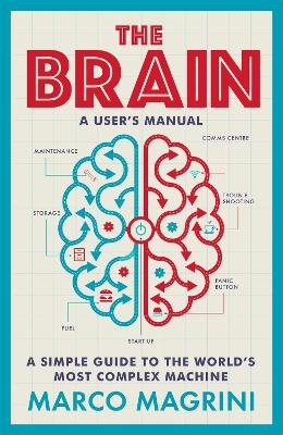 The Brain: A User's Manual