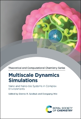 Multiscale Dynamics Simulations