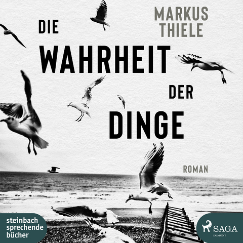 Die Wahrheit der Dinge - Markus Thiele