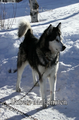 Unsere Malamuten