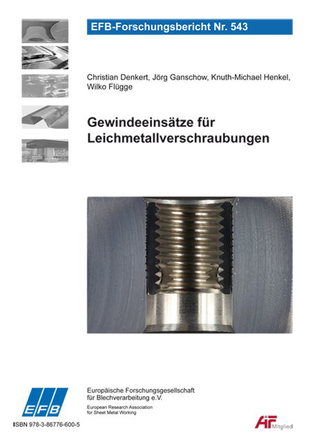 Gewindeeins&auml;tze f&uuml;r Leichmetallverschraubungen - Wilko Fl&uuml;gge, Knuth-Michael Henkel, Christian Denkert, J&ouml;rg Ganschow