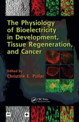 Physiology of Bioelectricity in Development, Tissue Regeneration and Cancer