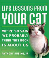 Life Lessons from Your Cat -  Anthony Rubino