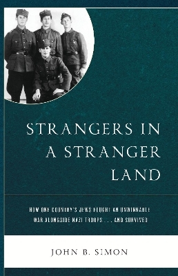Strangers in a Stranger Land - John B. Simon
