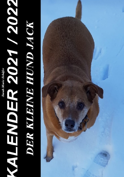 Der kleine Hund Jack - Kalender 2021 / 2022 - Sarah Sch&auml;fer
