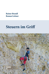 Steuern im Griff - Rainer Brandl, Roman Leitner