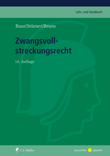 Zwangsvollstreckungsrecht - Alexander Bruns