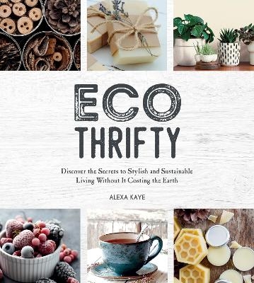 Eco-Thrifty - Alexa Kaye