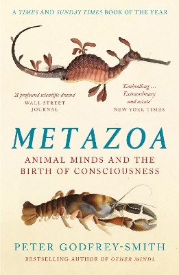 Metazoa - Peter Godfrey-Smith