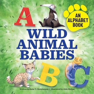 Wild Animal Babies