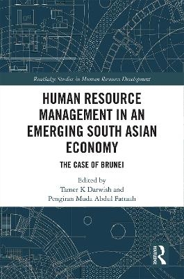 Human Resource Management in an Emerging South Asian Economy