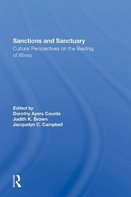 Sanctions And Sanctuary - Dorothy A Counts, Judith K Brown, Jacquelyn C Campbell