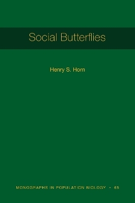 Social Butterflies