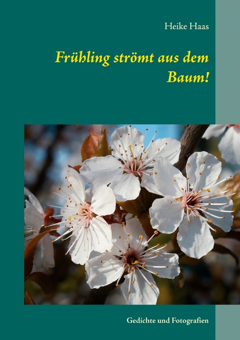 Fr&uuml;hling str&ouml;mt aus dem Baum! - Heike Haas