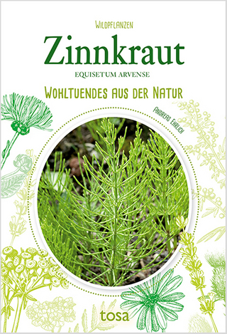 Zinnkraut