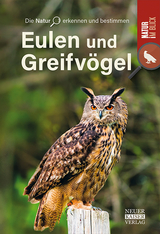 Eulen und Greifv&ouml;gel