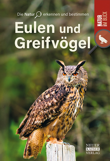 Eulen und Greifv&ouml;gel
