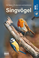 Singv&ouml;gel