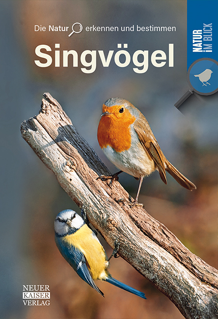 Singv&ouml;gel