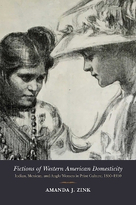 Fictions of Western American Domesticity - Amanda J. Zink