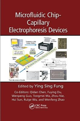 Microfluidic Chip-Capillary Electrophoresis Devices