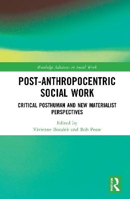 Post-Anthropocentric Social Work - 
