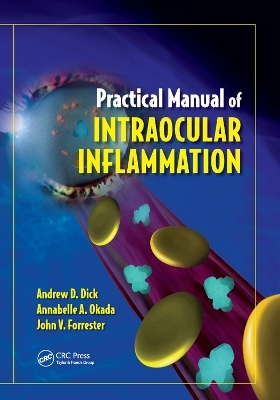 Practical Manual of Intraocular Inflammation - Andrew Dick, Annabelle Okada, John Forrester