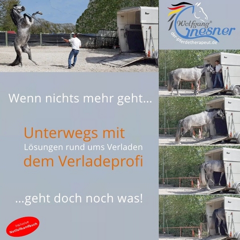 L&ouml;sungen rund ums Verladen- Unterwegs mit dem Verladeprofi - Wolfgang Gnesner